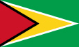 Guyana státní vlajka